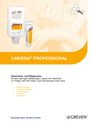 PI LINDESA PROFESSIONAL 2024 04 DEU