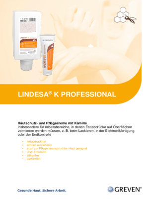 PI LINDESA K PROFESSIONAL 2022 11 DEU