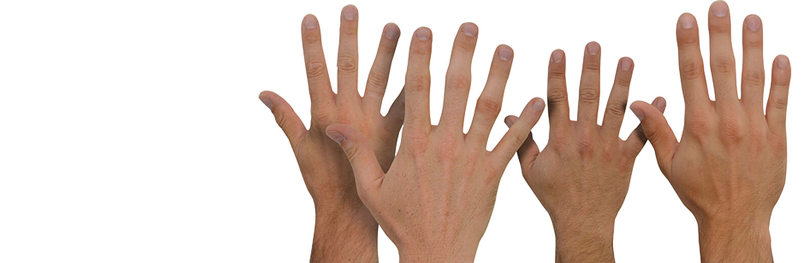 Mehrere erhobene Hände vor weißem Hintergrund – Symbol für Beteiligung, Vielfalt und Gemeinschaft.